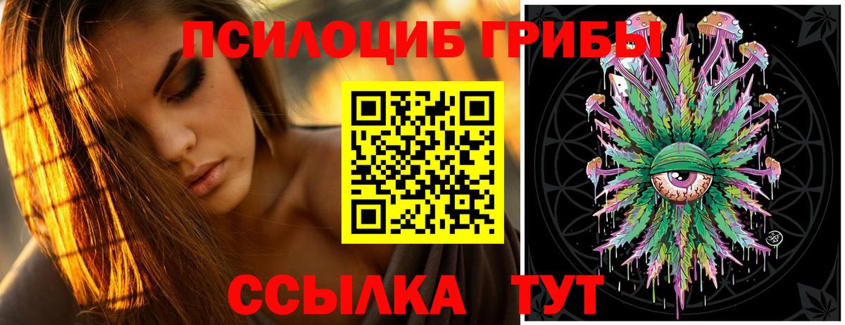 сколько стоит  Вход с VPN  Северобайкальск  Галлюциногенные грибы Psilocybe 